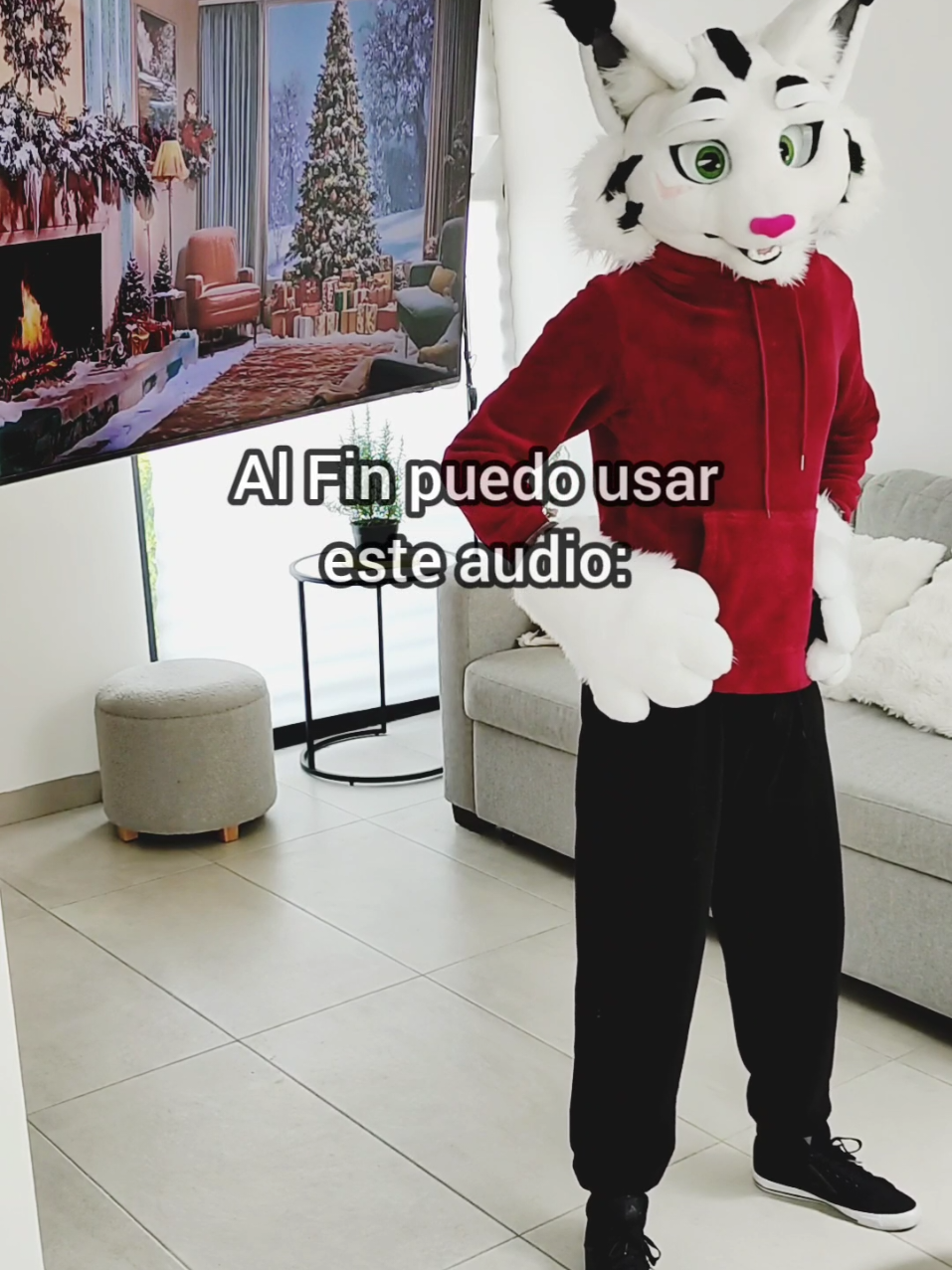 Feliz navidad a todos! espera… estamos en agosto? #furrymexico  #Meme #furry #fursuit #furryfandom 