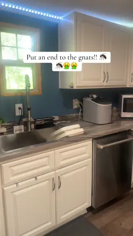 Gnat season ain’t for the weak. Take control of it!!🤮 #gnats #superninja #nasty 