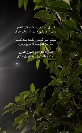 #تصميم_فيديوهات🎶🎤🎬 شعر 