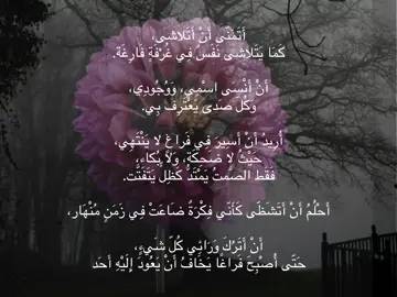 أَتَمَنّى أَنْ أَتَلاشى، كَمَا يَتَلاشى نَفَسٌ فِي غُرْفَةٍ فَارِغَة. أَنْ أَنْسَى اسْمِي، وَوُجُودِي، وَكُلّ صَدى يَعْتَرِف بِي. أُرِيدُ أَنْ أَسِيرَ فِي فَراغٍ لا يَنْتَهِي، حَيْثُ لا ضَحِكَة، وَلا بُكاء، فَقَط الصَّمتُ يَمْتَدُّ كَظِلٍّ يَتَفَتَّت. أَحْلُمُ أَنْ أَتَشَظّى كَأَنّي فِكْرَةٌ ضَاعَتْ فِي زَمَنٍ مُنْهَار، أَنْ أَتَرُكَ وَرَائِي كُلّ شَيءٍ، حَتّى أُصْبِحَ فَراغًا يَخَافُ أَنْ يَعُودَ إِلَيْهِ أَحَد.                                                                                                                                                                                          #fyp #foryou #viral 