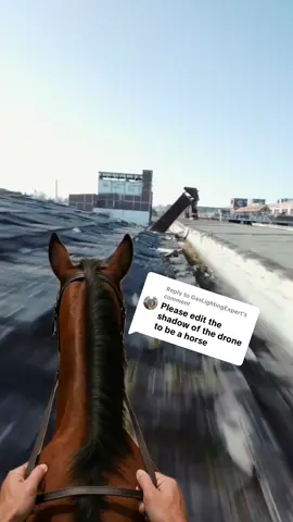 Replying to @GasLightingExpert the unedited footage as requested #fyp #foryou #foryoupage #horse #edit #music 