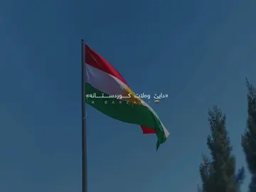 😻😻♥️..#foryou #foryoupage #fyp #viral #creatorsearchinsights 