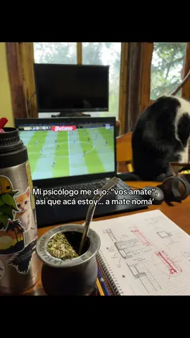 Amargo siempre #paratii #fyp #mate #terapia 