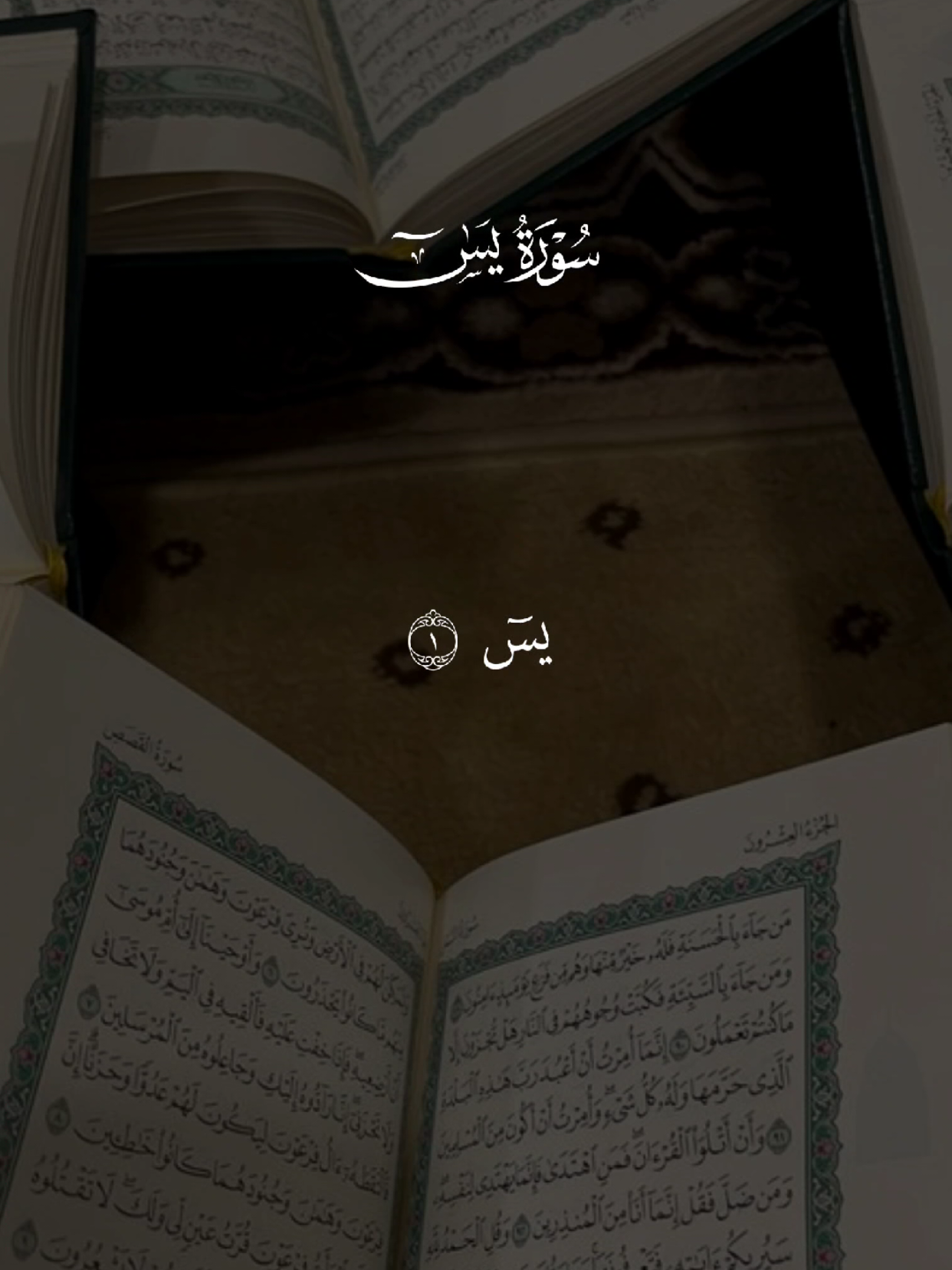 سورة يس 🤍 #القران #quran #القران_الكريم #quran_alkarim #تلاوة_خاشعة 