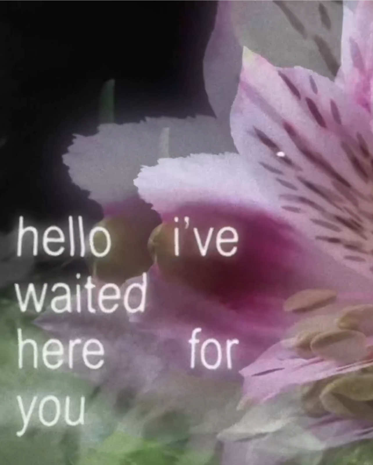 everlong - foofighters #everlong #foofighters #flowers #floweroverlay #aestheticedit #aestheticlyricedit #edit #lyricedit #brat #lyricedits #xyzbca #fyp #foryou #foryoupage #fypシ #fypシ゚viral #viral #audios #spotifylyrics #lyrics 