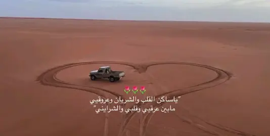 #بدون_موسيقي #سلطان_البريكي #شاص #شيلات #اكسبلور #fyp #fyp #سلطان_البريكي #foryou #foryou #explore #joke #fyp 