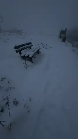 #snow #winter #nature #aesthetic #calm 