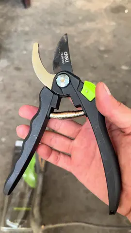 Dụng Cụ Cắt Tỉa Cây Cảnh Làm Vườn deli với lưỡi thép sk5 sắc bén#thinhhanh #xuhuong #dogiadung 