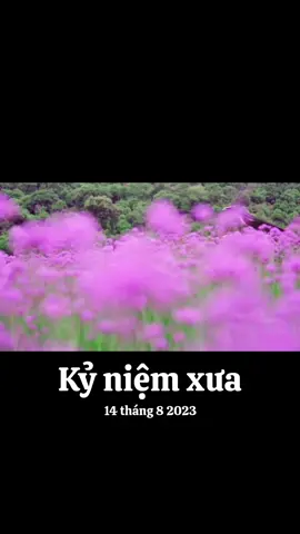 #kỷ niệm xưa 