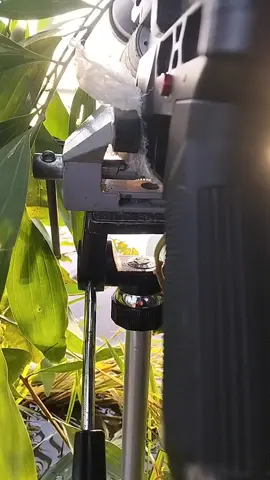 #quakhu  lâu lâu về cho người ae đi lum 1 bữa 😛😛😥 