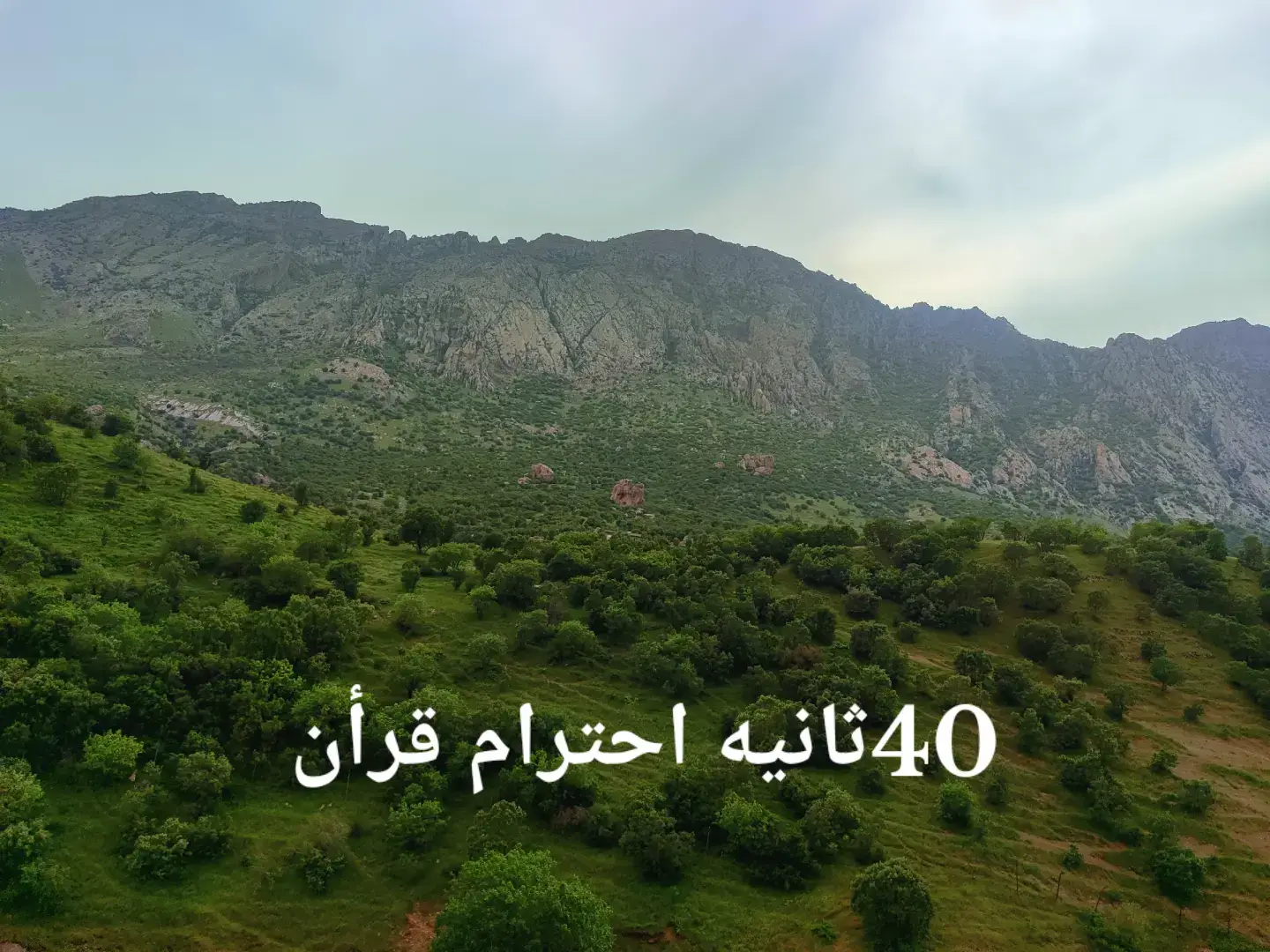 احترام قرأن كريم 40ثانيه#سوريا🇸🇾 #سعوديه #بصره #عراق #كربلاء 