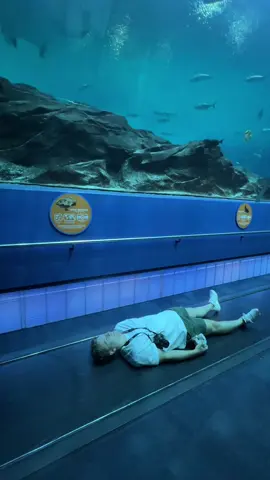 georgia aquarium thank you for your service