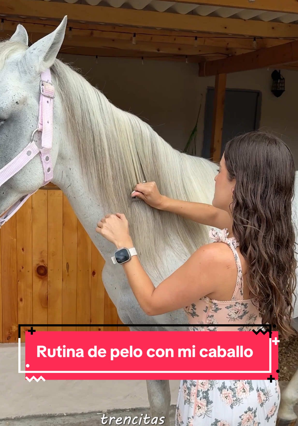 El pelo soñado de todas las girls 🫰🏼🦄 de 1 a 10 como calificas el primer peinado de Ángel? 🎀 @pontohairclub #caballos #hairstyle #peinados #parati #patrocinado 