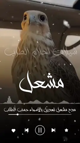 مشعل اليا حضر صاب الخصوم  شيله باسم مشعل جديد يامحمد هقوتك فيا الايمكن تضيع  شيله باسم محمد جديد  امحمد الي حضر صاب الخصل  شيله باسم محمد جديد  انامك الذي تفداك عيني  شيله باسم محمد جديد  حبيب القلب سلطان حبيب الروح سلطان الدنيا كلها سلطان شيله باسم سلطان جديد  حبيب القلب محمد حبيب الروح محمد الدنيا كلها محمد شيله باسم محمد جديد  انامك الذي تفداك عيني  شيله بإسم محمد جديد  اخوي اذراعي الأيمن ونبراسي  شيله باسم اخوي جديد اخواني مطاليق الرجالي  شيله باسم اخواني جديد حبيب القلب سلطان حبيب الروح سلطان الدنيا كلها سلطان شيله بإسم سلطان جديد مرحبا يا نايف المطنوخ  شيله باسم نايف جديد ون ذكرت محمد المد المبنا  شيله باسم محمد جديد  اناامك الذي تفداك عيني  شيله باسم محمد جديد حبيب القلب محمد حبيب الروح محمد للدنيا كلها محمد شيله باسم محمد  حبيب القلب زياد حبيب الروح زياد   الدنيا كلها زياد شيله باسم زياد  حبيب القلب ناصر حبيب الروح ناصر  الدنيا كلها ناصر شيله باسم ناصر  مرحبا يا نايف المطنوخ  شيله باسم نايف جديد  #استديو_احلام_الطرب  #اكسبلوررررررررررررررررر  #الشعب_الصيني_ماله_حل😂😂 