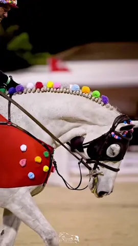 GIMME MORE😻😻 #horse #equestrian #fyp #showjumping #halloweencostume 
