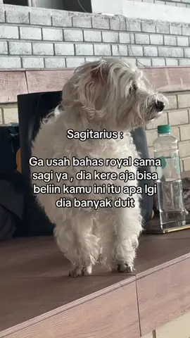 #sagitarius #firesign #zodiac 
