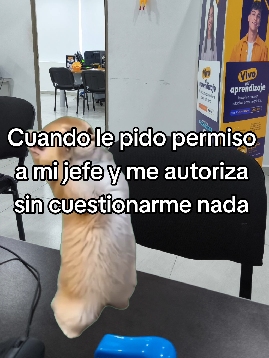 Mi jefe, mi mejor amigo jajaja 😂 #Meme #MemeCut #CapCut 