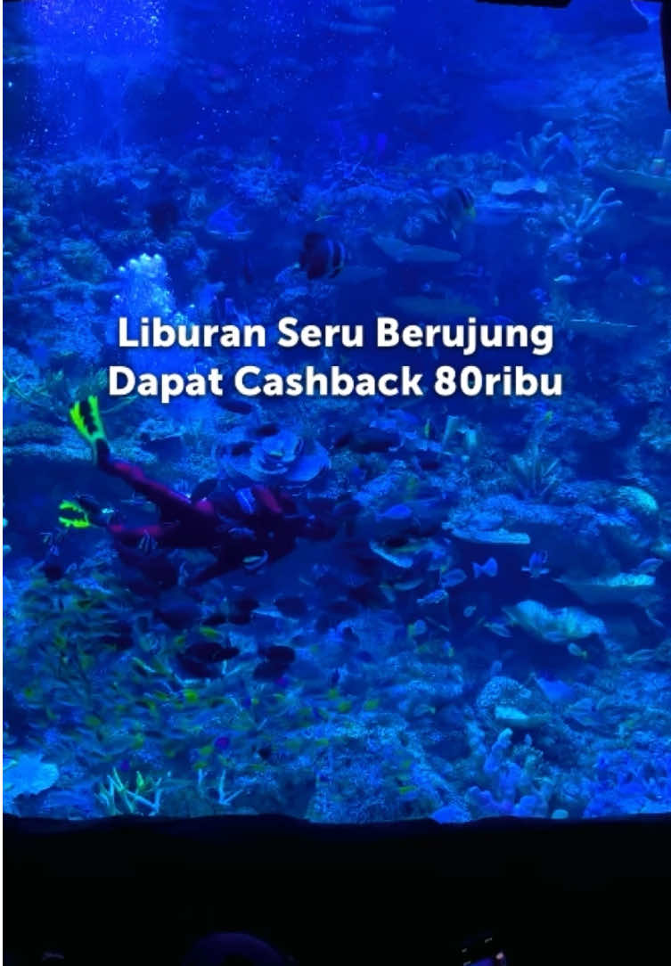 Serunya liburan tapi malah berujung dapat cashback 80ribu untuk pembelian pertama di TikTok.  Langsung booking sekarang dari tag lokasi video ini dan dapatkan cashbacknya !! Promonya berlangsung dari tanggal 14-16 Agustus 2025, jadi jangan sampai kelewatan !! #GOAcademyAtraksi #BXSeaBintaro #JelajahHepi