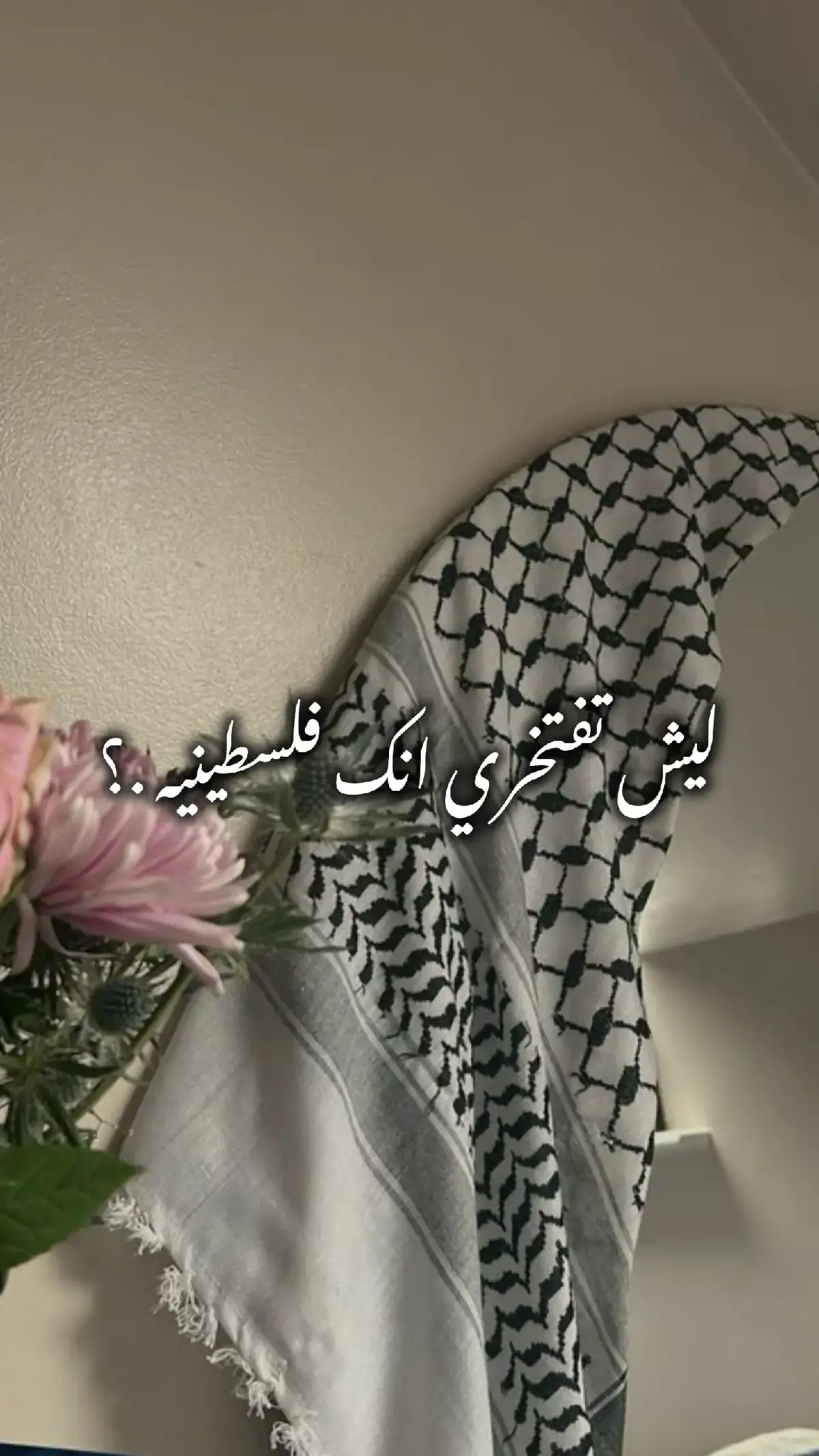 #غزاويه👑🇵🇸، 
