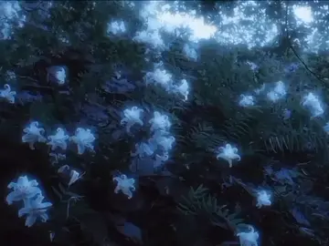 🥀... #sadfyp #fpyシ #vibes #darkvibes #flowers 