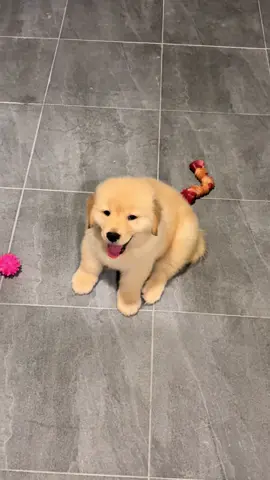 ไซอันนนนนน