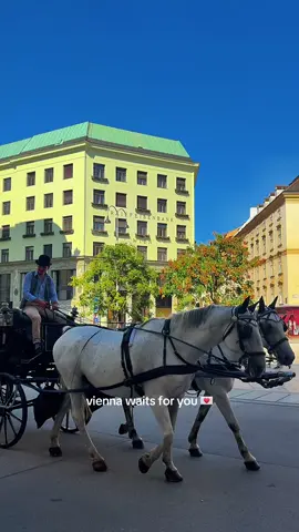 ur sign to just book the trip 🙂‍↕️ #vienna #austria #traveltiktok 