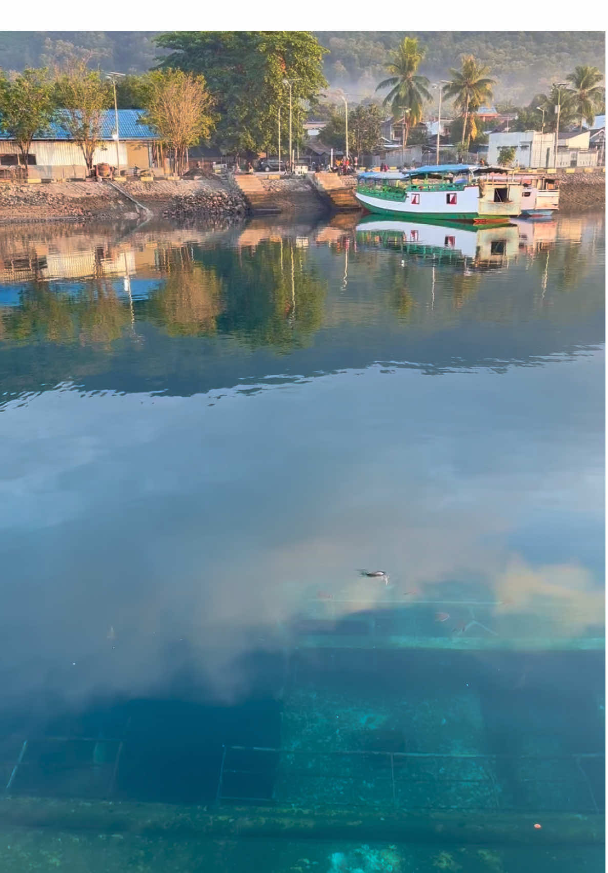 Morning View #alorisland #kalabahi❤️🌈alor🌈ntt #nttpride🏝🔥 #fyppppppppppppppppppppppp #fyp 