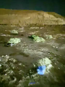 تتعذر كثيييير .#محمد_عبده #viral #fyp 