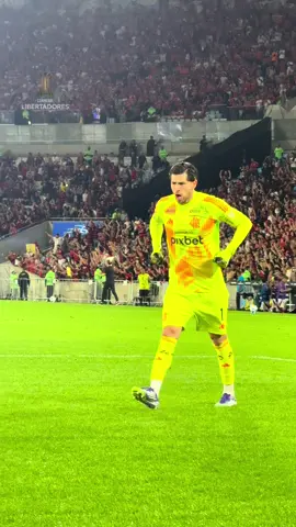 Rossi e a Nação comemorando o gol do @Flamengo pelas Oitavas de Final da CONMEBOL #Libertadores ⚽️🏆😮‍💨 #Flamengo #GloriaEterna #Futebol #TikTokEsportes 