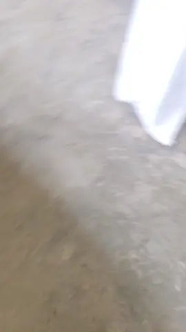 king sigbin vs Quen sigma hahaha@Jorv@•●°● @Chris Dong #fyppppppppppppppppppppppp #foryoupage #fypシ #fyp #viral #dance 