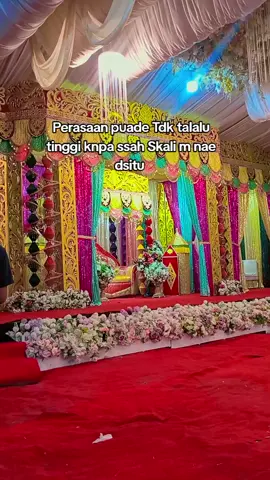 tahun ini msih oma² yg stel 🤣🤭 #fypp #pernikahan #adatgorontalo 