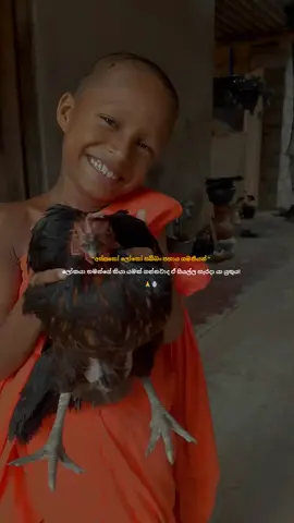 ඉස්සර විදියට දුව පැන නටපු එක මතකයි තහනම් කරපු දිනේ,සෙල්ලම් වයසට ඉන්නේ කොහොමද කියන්න ලොකුහාමුදුරුවනේ 😊❤️🫀 #fyp #fouryou #sinhalawadan❤🥰🖤 #littlemonk #podihamuduruwo 