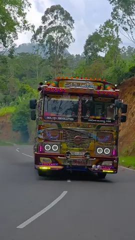 බලන්නකෝ 👀අපේ කූඹී බබාගේ ලස්සන 😍@PuBuDu කූඹියෝ @Ruwan_chamara @MR...S h a s h i y a @Sisira dissanayake @Asanka_modification 