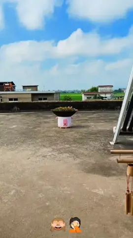 #sutrabombay #bungapukulsembilan #tanamankrokot #krokot #kreasikrokot 