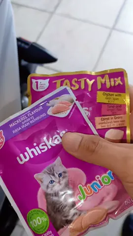 nih yg nanyain kondisi meng nya gimana, ternyata semalam dia bawa temen🥲, btw kasih nama siapa ya? #catlover #kitten #cat #kucingliar 