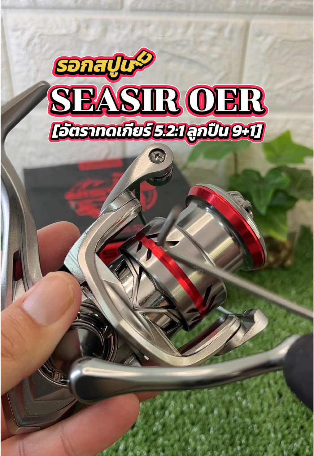 SEASIR OER น้ำหนักเบาเป็นพิเศษอลูมิเนียมสปูนตื้นหมุนลื่นตีไกลลากได้สูงสุด12กก. 9 + 1BB อัตราทดเกียร์5.2:1 #รอกสปินนิ่ง #SEASIR #รอกตีเหยื่อปลอม #รอกตกปลา #รอกราคาถูก  @ทีมงานอีสานนินจา 