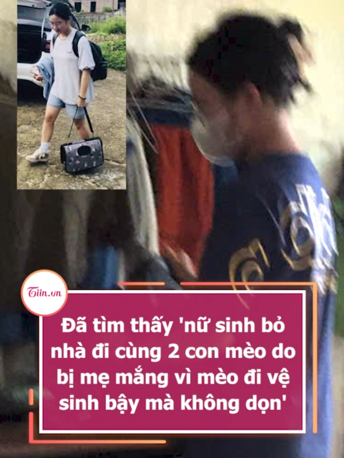 Đã tìm thấy 'nữ sinh bỏ nhà đi cùng 2 con mèo do bị mẹ mắng vì mèo đi vệ sinh bậy mà không dọn' #tiinnews