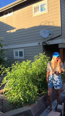 Backyard snacks 🤌🏼