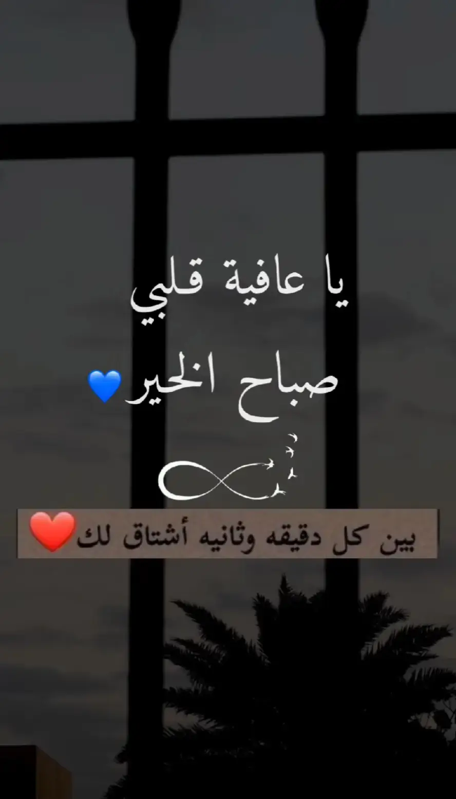 بشتقلك ي نور عيني وحياتي ❤️ 