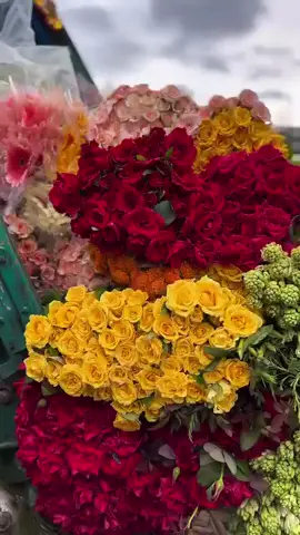 # ফুল দেখতে কি সুন্দর...!💐 #viraltiktok #support  #accountant @Charli d amelio 