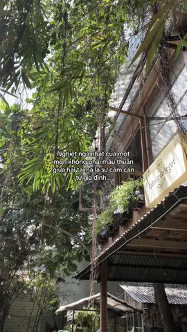 phai lam sao cho dung….??