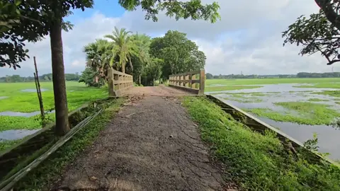 tecno camon 30 pro. 1080. 30 fps white angle video. no Edit 