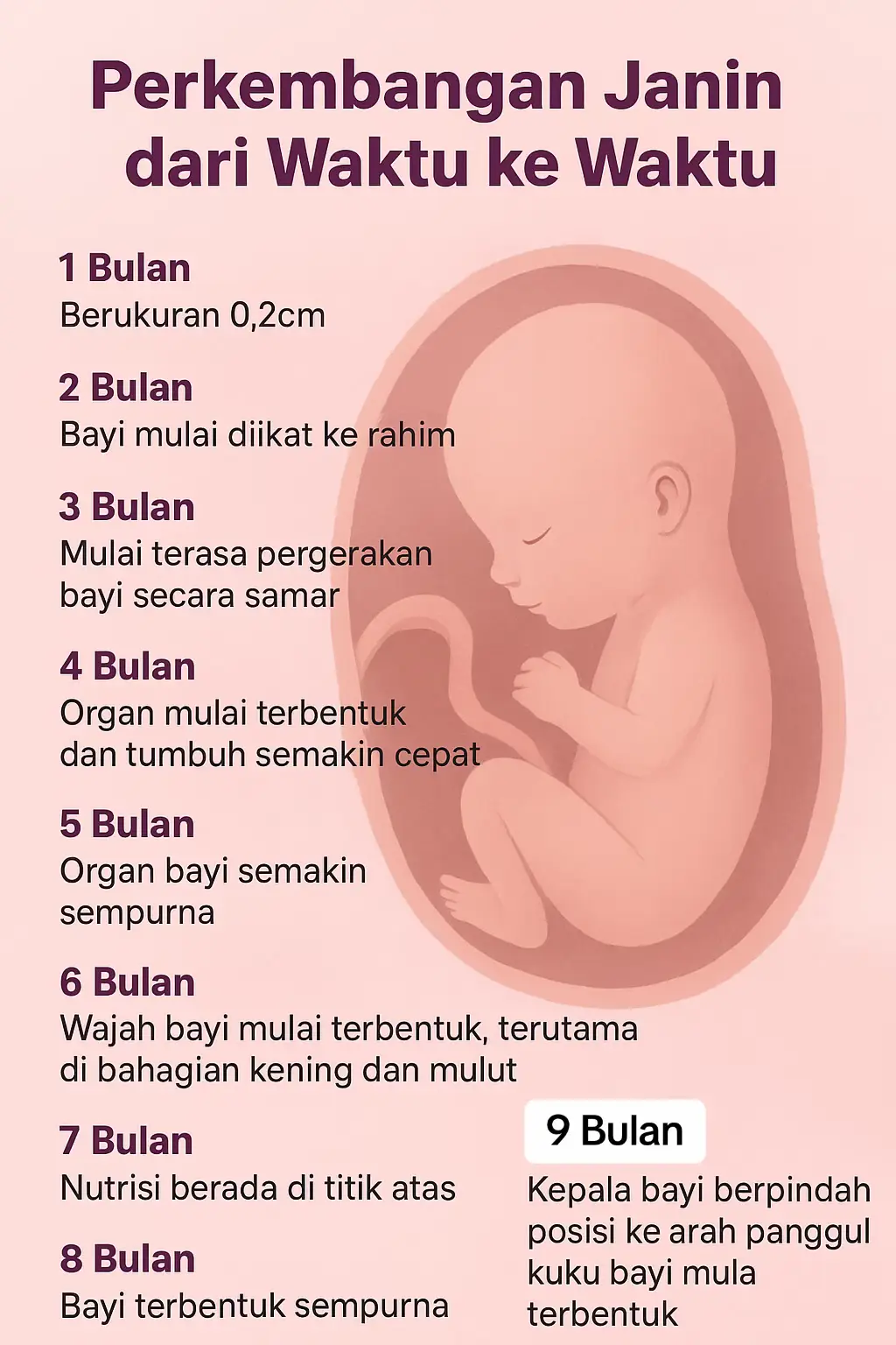 hi mummy , ni perkembangan baby dalam rahim.. semoga baby sihat  dan kuat sampai bersalin nnt ❤️ #fyp #fypage #ttc #pejuanggarisdua #ikhtiarhamil 