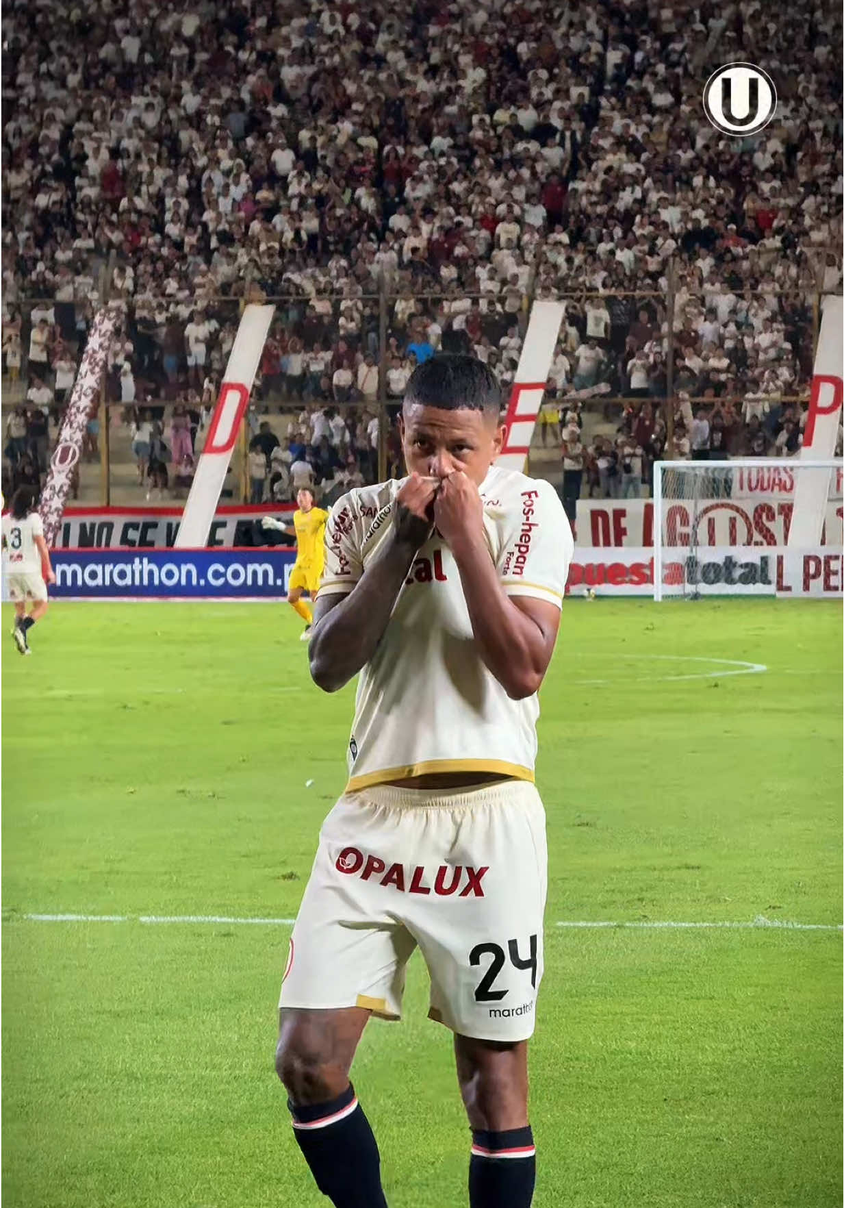 Todo empieza 𝗖𝗥𝗘𝗬𝗘𝗡𝗗𝗢 💛 #LaGarraDelÚnicoGrande #Universitario #Palmeiras #CopaLibertadores #Peru 
