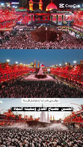 إن الحسين مصباح الهدى وسفينة النجاة #زيارة_الأربعين 