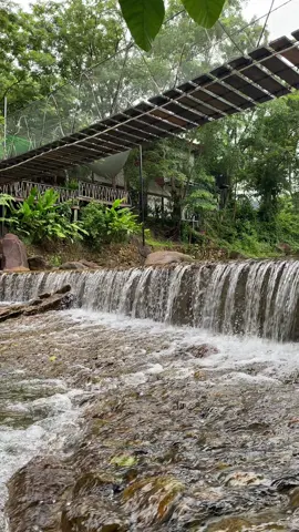 ទឹកធ្លាក់តូចៗ Cuteៗ នៅជ្រលងបៃតងវាលពួចបានមកលេងហើយឬនៅ? 😍❤️ #ជ្រលងបៃតងវាលពួច🍃🌿💚 #kampot #fyp 