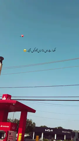 جے میں ماڑا ہاں تینو کیں ڈکیا بیلی ڈھونڈ لے کوئی چھج دا ۔🥺❤️‍🩹🕊️ #foryou #foryourpages #poetry #aesthatic #poetrystatus 