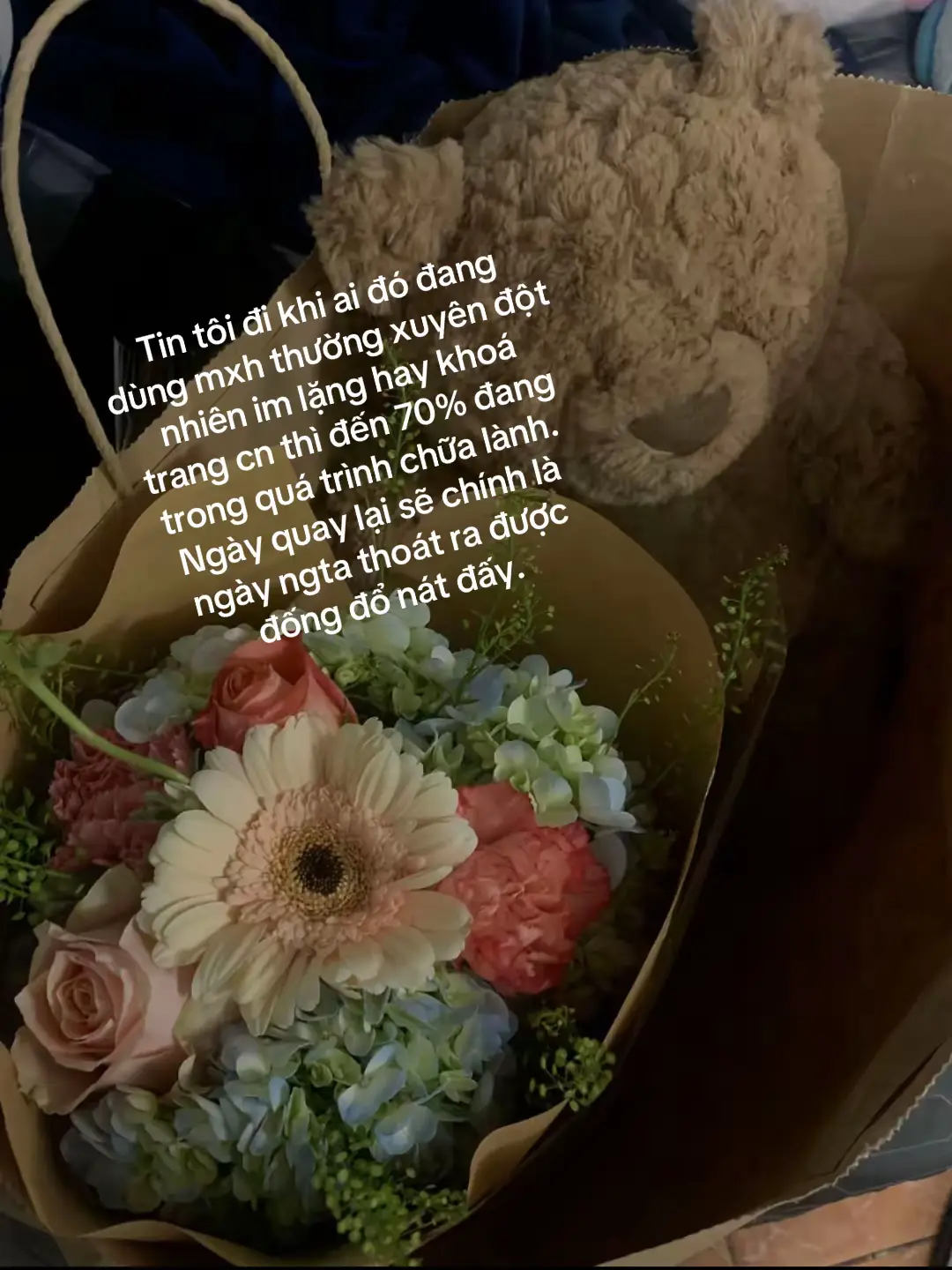 vậy đó