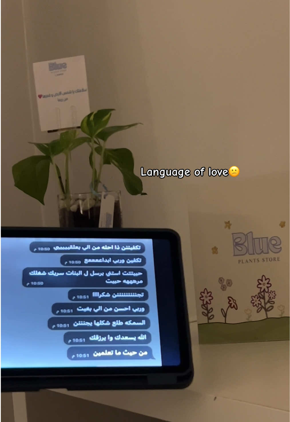 عرض مستمر التواصل بالبايو🪴💞🪸🍄 نوفر جميع النباتات،🌱