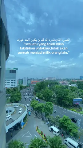 #arabicsong #quotes #fypage #xyzbca #fyp 